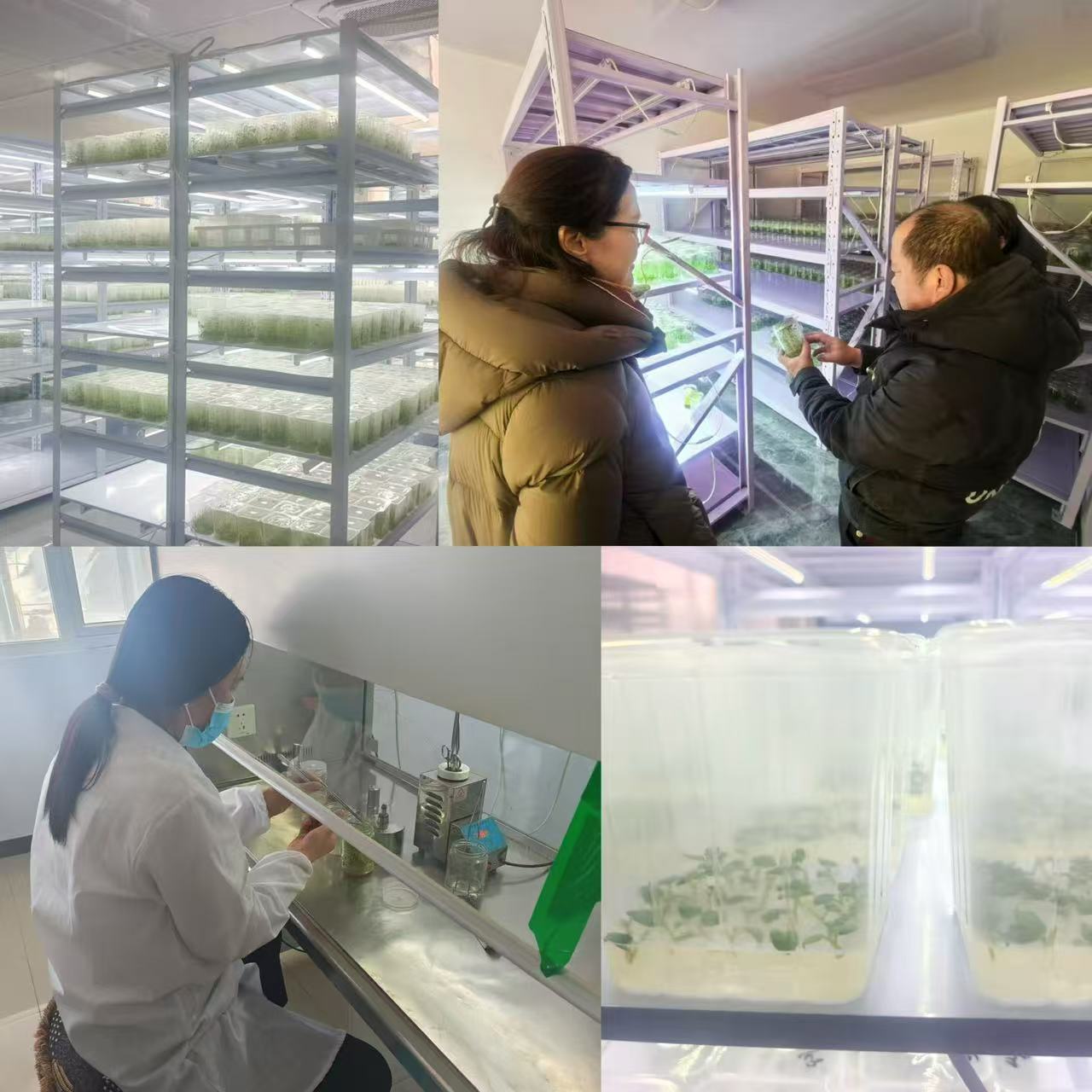 b741d1661f7931243743b108d66ede13.jpg b741d1661f7931243743b108d66ede13.jpg